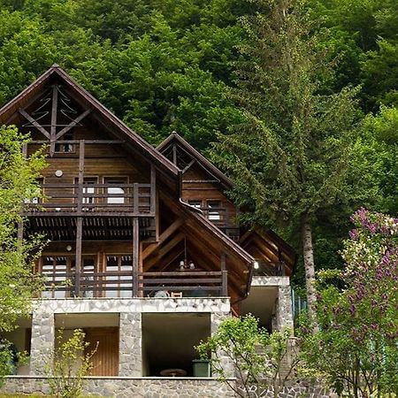 Villa Florile Bucegilor Sinaia Exterior foto