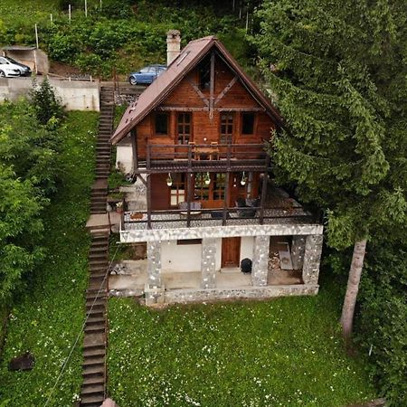 Villa Florile Bucegilor Sinaia Exterior foto