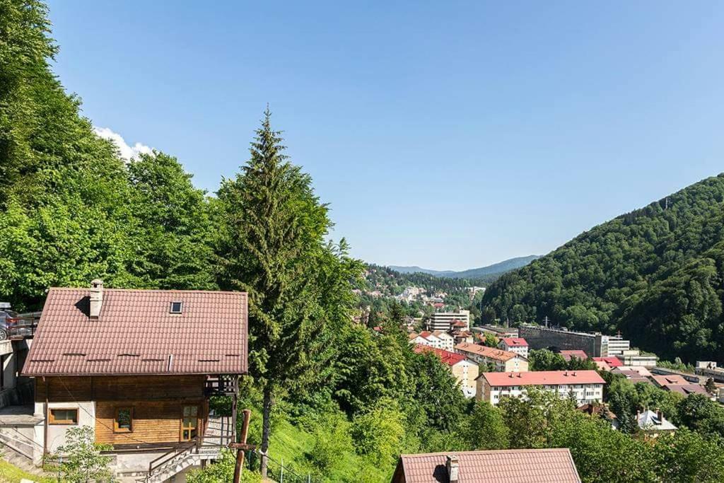 Villa Florile Bucegilor Sinaia Exterior foto