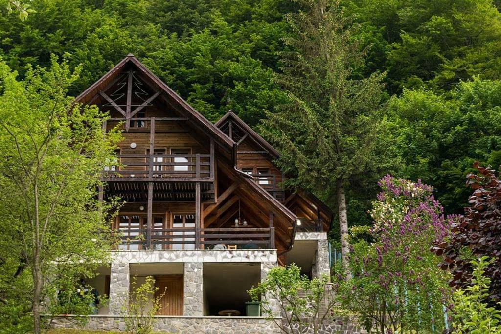 Villa Florile Bucegilor Sinaia Exterior foto