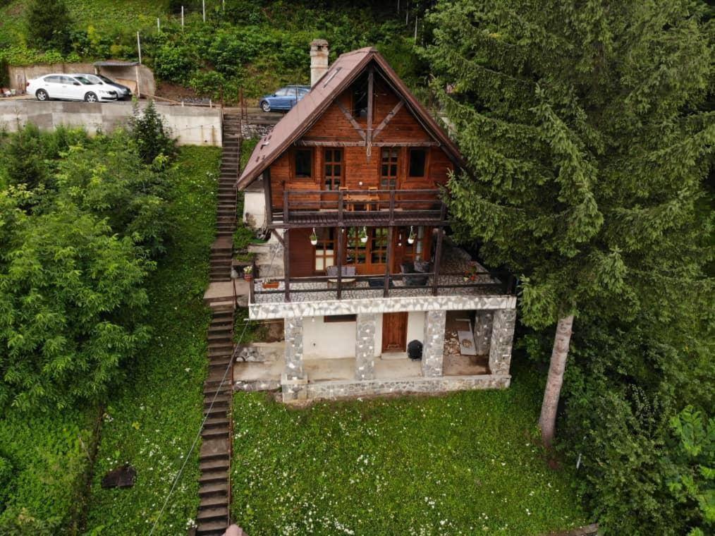 Villa Florile Bucegilor Sinaia Exterior foto