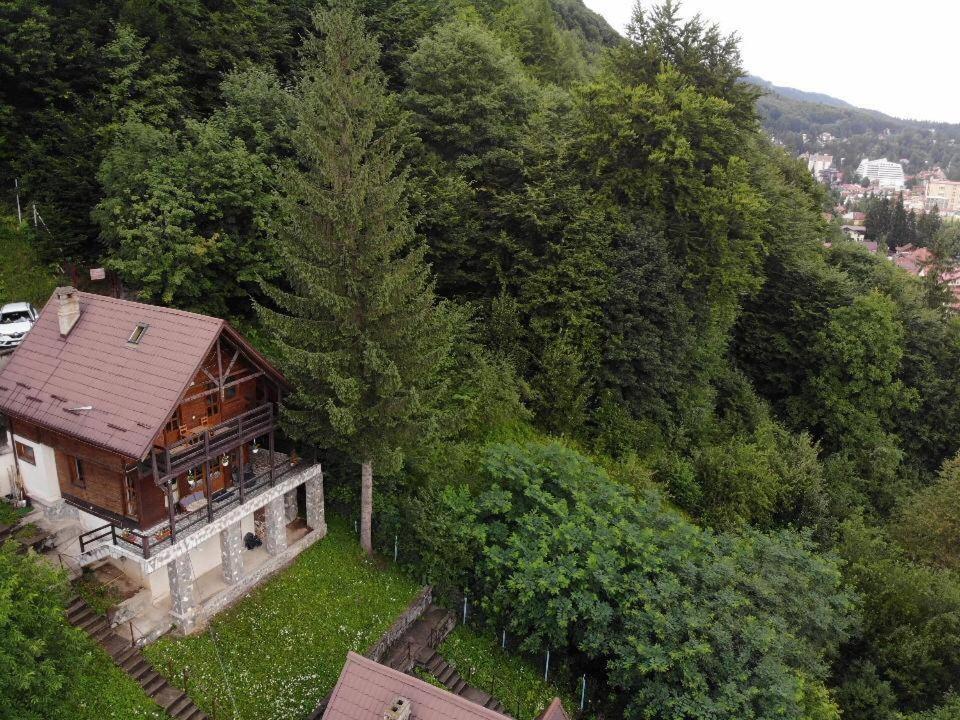 Villa Florile Bucegilor Sinaia Exterior foto